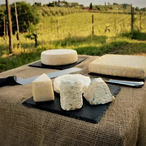  Bed & Breakfast Fattoria Le Caprine Italy